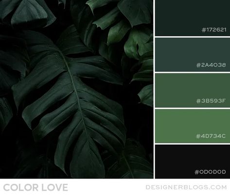 Dark Green Colors Palette, Forest Green And Black Color Palette, Dark Green Wall Color Palette, Green And Black Pallet, Emerald Green And Black Color Palette, Pthalo Green Color Palette, Green Masculine Aesthetic, Dark Emerald Green Color Palette, Dark Green Color Pallette