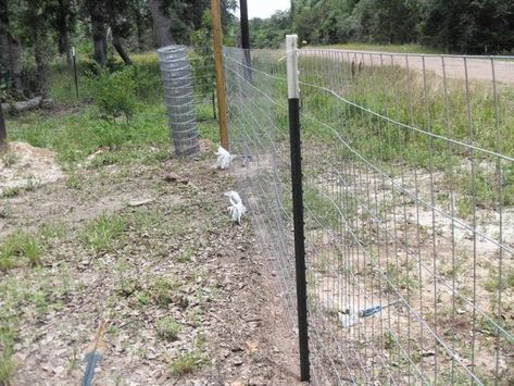 T Post Fence Ideas, Fence Using Cattle Panels, T Post Dog Fence, T Post Fence, Wooden Post Fence With Wire, Wire Fence Panels, Electric Fence For Cattle, Hog Wire Fence, Diy Dog Fence