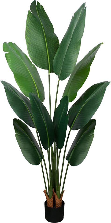 Long Leaf Plants, Banana Leaf Plant, Faux Palm Tree, Banana Leaf Tree, Big Leaf Plants, Big Indoor Plants, Birds Of Paradise Plant, Bird Of Paradise Plant, Palm Tree Plant