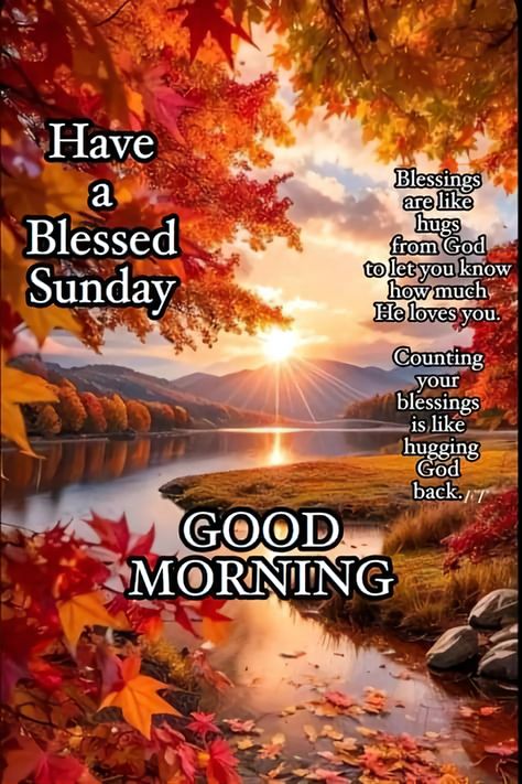 Good Morning Blessings Inspiration Beautiful, Sunday Morning Pics, Good Morning Sunday, Sunday Morning Quotes, Sunday Greetings, Good Sunday Morning, Good Morning Spiritual Quotes, Blessed Sunday, Bless The Lord