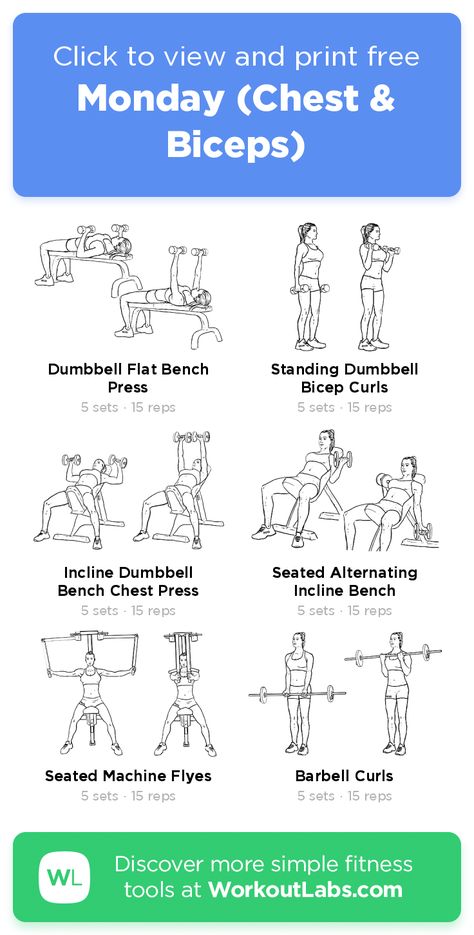 Chest And Biceps Workout Women, Chest Biceps Workout, Chest And Arms Workout Women, Arms And Chest Workout, Chest And Biceps Workout, Chest And Bicep Workout, Weekly Gym Workouts, Workoutlabs Fit, Chest Exercise