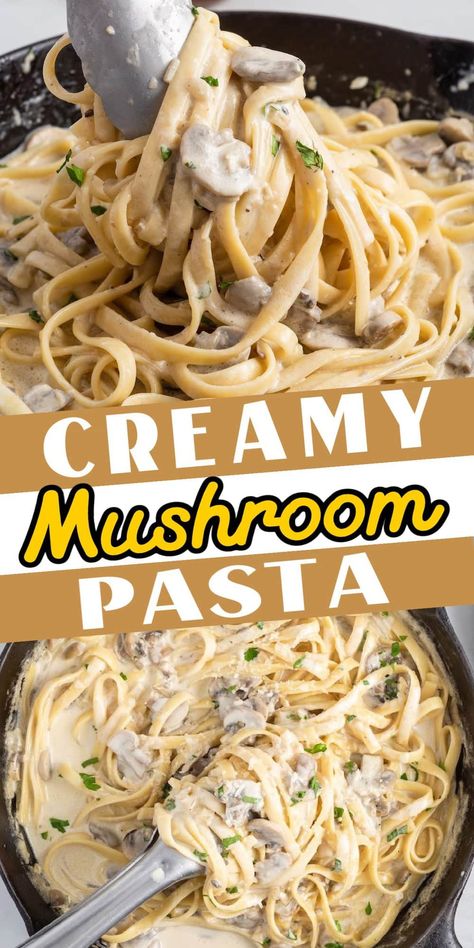 Mushroom Linguine Creamy, Linguine With Creamy Mushroom Sauce, Easy Recipes With Cream Of Mushroom Soup, One Pot Pasta Mushroom, Easy Mushroom Sauce For Pasta, Pasta With Champignon, Creamy Mushroom Zucchini Pasta, Mushroom And Pasta Recipes Healthy, Parmesan Mushroom Pasta