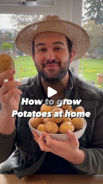 How To Grow Your Own Potatoes, Pallet Potato Planter Diy, Growing Potatoes From Potatoes, How To Grow Potatoes In A Container, How To Grow Potatoes, Potato Container, Growing Potatoes In Containers, When To Plant Potatoes, How To Plant Potatoes