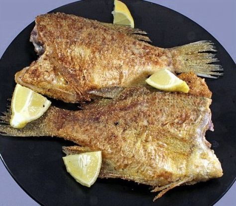 Baked Pompano Golden Pompano Fish Recipe, Pompano Fish Recipe, Pompano Recipe, Pompano Fish, Slow Cooker Stew, Frozen Seafood, Saltwater Fish, How To Cook Fish, Baked Fish