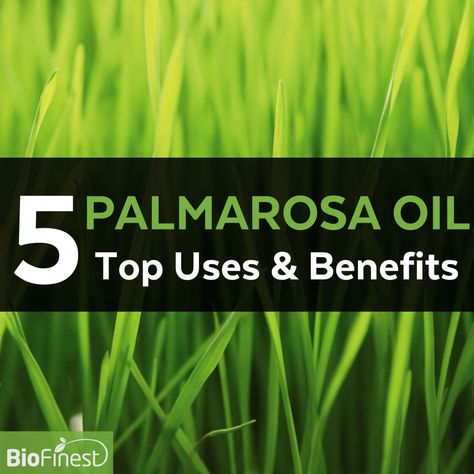 5 Reasons Why Palmarosa Essential Oil is the Oil for You Palmarosa Essential Oil Benefits, Essential Oil Hand Soap, Palmarosa Essential Oil, Doterra Recipes, Essential Oils Collection, Healing Essential Oils, Yl Oils, Essential Oils Herbs, Kitchen Witchery