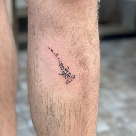 Lil hammerhead shark skeleton by @carlytattoosart ! #sandiegotattooshop Shark Tattoo Skeleton, Hammerhead Traditional Tattoo, Hammerhead Shark Skeleton Tattoo, Hammerhead Shark Skeleton, Hammer Head Tattoo, Shark Skeleton Tattoo, Shark Teeth Tattoo, Hammerhead Tattoo, Shark Skeleton