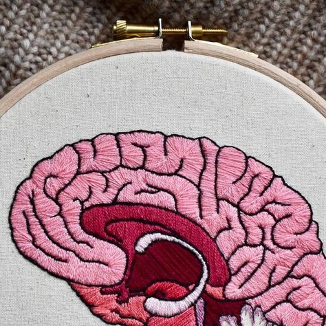 Needles & Neurons on Instagram: "Posting out a sagittal brain kit, and I have one more in stock at the moment! My kits include: 🧠 PDF pattern 🧠 Full skeins of DMC thread 🧠 Two layers of cotton fabric 🧠 Embroidery needles 🧠 Elbesee wooden embroidery hoop 🧠 Stick & stitch sticker (optional) for easy pattern transfer and removal 🧠 And a small donation to @alzheimersresearchuk! I also make kits to order for my retina design (in two colour schemes). If you want an alternative kit for any of my Brain Embroidery, Instagram Posting, Wooden Embroidery, Wooden Embroidery Hoops, Dmc Thread, Embroidery Needles, Colour Schemes, Embroidery Hoop, Simple Patterns