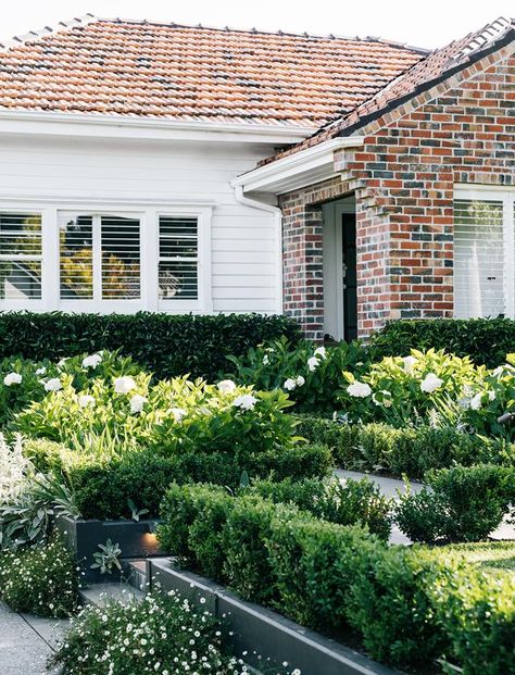 A country-style garden in suburban Melbourne | Australian House and Garden Landscape Small Garden, Front Garden Design Ideas, Summer Lawn Care, Australian House, Front Garden Design, Australian Garden, Australian Native Plants, Coastal Gardens, Most Beautiful Gardens