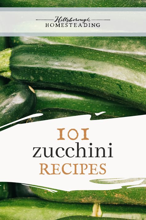 Put your zucchini harvest to good use with over 100 zucchini recipes! Never get bored! Zucchini for breakfast, lunch and dinner! | Hillsborough Homesteading #farmfresh #recipes #homesteadkitchen #homesteading #kitchen #cooking Homesteading Kitchen, Garden Zucchini, Best Zucchini Recipes, Best Zucchini, Zucchini Casserole, Zucchini Recipe, Winter Gardening, Zucchini Squash, Flower Fruit