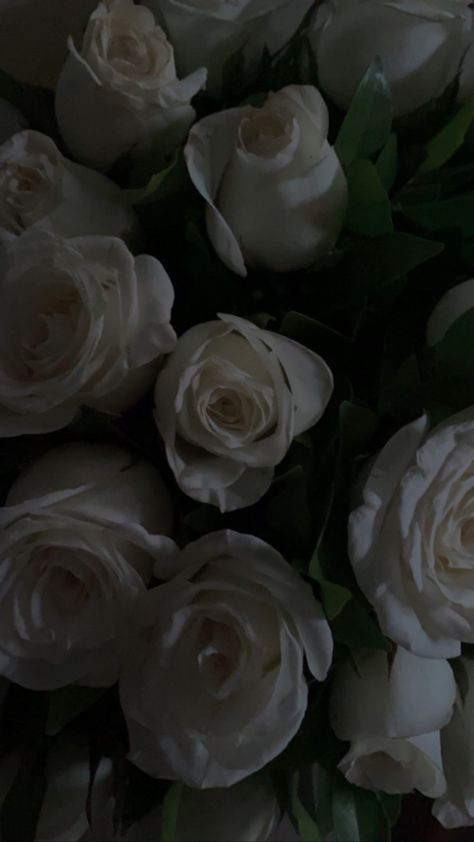 Roses Black And White Wallpaper, Dark White Roses Aesthetic, White English Roses, Flower Backgrounds Wallpapers, Black And White Roses Aesthetic, White Rose Wallpaper Aesthetic, White Roses Wallpaper Iphone, White Roses Aesthetic Vintage, White Roses Aesthetic Wallpaper