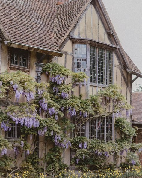 Some photos from Hall’s Croft (Shakespeare’s daughter’s house). Her husband was a physician, and as you can imagine medicine was pretty… Wisteria On House, Aesthetic Wisteria, Wisteria House, Wisteria Cottage, Fav Books, English Countryside, Pretty House, Pretty Places, Wisteria