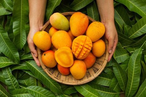 Folate Foods, Mango Benefits, Francis Picabia, Green Leaf Background, Fruit Benefits, Mango Fruit, Wooden Basket, Mango Tree, Mango Recipes