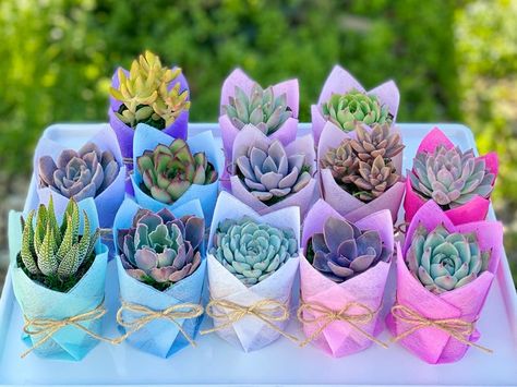 Succulent Party Favors, Plant Party, Succulent Favors, Appreciation Thank You, Christmas Plants, Plant Gift, Wedding Shower Favors, Fiesta Baby Shower, Baby Shower Party Favors