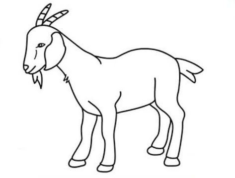 Goat Drawing & Sketches for Kids Check more at https://www.kidsartncraft.com/goat-drawing-sketches-for-kids/ Nature, Pictures Of Goats To Draw, Draw Goat Easy, Goat Sketch Drawings, Goat Cartoon Drawing, Goat Drawing Sketch, 24 Tirthankar, Goat Drawing Easy, Cute Goat Drawing