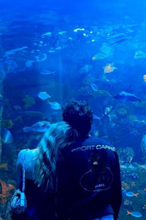 Aquarium Pics Couple, City Date Ideas, Romantic Blue Aesthetic, Aquarium Date Pictures, Couple Aquarium Pictures, Date Aquarium, Aquarium Couple Photos, Aquarium Aesthetic Couple, Aquarium Photo Ideas