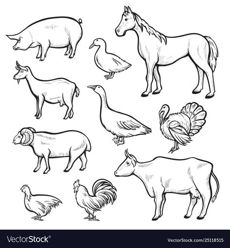 Farm Pigs, Animal Anime, Chicken Drawing, Vector Line Art, Line Art Illustration, Cartoon Fashion, Pig Farming, Fashion Landscape, Animal Drawing