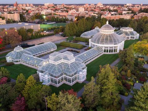 Green Roof Residential, Victorian Greenhouses, The Glass House, Conservatory Garden, Events Place, New York Botanical Garden, Botanical Gardens Wedding, Pond Design, Office Buildings