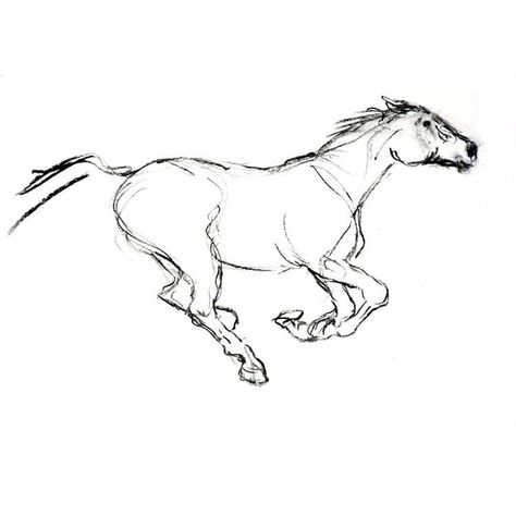 Running Animal Drawing, Minimalist Horse Drawing, Running Horse Tattoo Design, Horse Running Sketch, Running Horses Drawing, Horse Running Silhouette, Running Horses Tattoo, Cool Horse Tattoos, Horses Running Tattoo