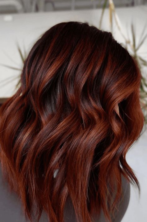 autumn hair colors, fall hair shades, cozy hair looks Warm Red Highlights In Brown Hair, Autumn Hair Inspiration, Dark Brown With Chestnut Highlights, Curly Autumn Hair, Red Highlights In Auburn Hair, Copper On Brunette Hair, Hoc Autumn Hair, Pumpkin Balayage, Medium Copper Brown Hair Color