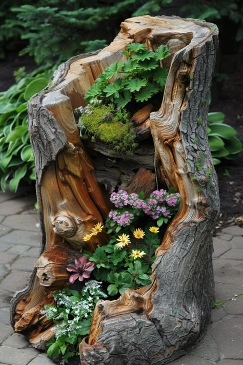 Tree Trunk Ideas, Wood Log Ideas, Tree Stump Decor, Tree Stump Planter, Bonsai Nursery, Stump Ideas, Fall Landscaping, Log Ideas, Trunk Ideas