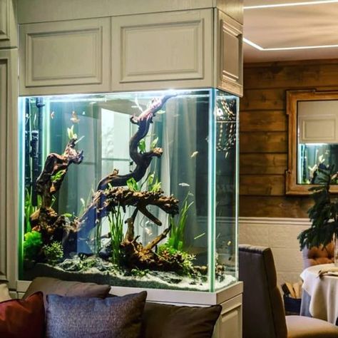 Luxury Aquarium, Kitchen Aquarium, Fish Tank Cabinets, Aquarium Coffee Table, Fish Tank Wall, Ideas De Piscina, Wall Aquarium, Diy Fish Tank, Fish Tank Design