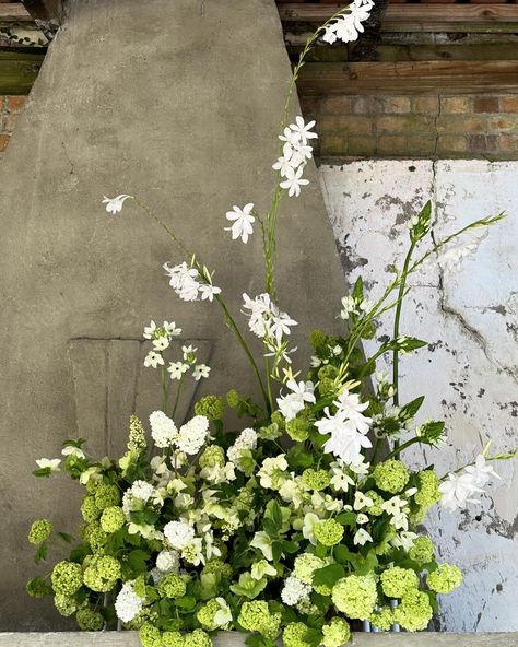 More from last weeks beautiful white and green wedding at Mantels, with a whole lot of our favourite flowers 🕊️🌿🐚🤍 All Green Wedding Bouquet, All Green Wedding, Green White Wedding Flowers, Green And White Florals, Green And White Wedding Flowers, Green White Wedding, Green And White Wedding, White And Green Wedding, Green Wedding Bouquet