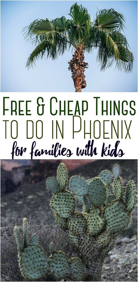 Free Things To Do In Phoenix Az, Phoenix Things To Do, Phoenix Attractions, Phoenix With Kids, Phoenix Vacation, Free Family Activities, Arizona Trip, Arizona Living, Arizona Vacation