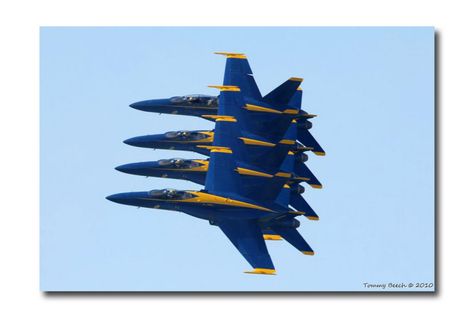 us navy blue angels photos | ... | all galleries >> Aircraft & Flying Gallery 7 > US Navy Blue Angels Blue Angels Air Show, Angels Photos, Blue Angles, Us Navy Blue Angels, Flight Plan, Us Navy Aircraft, Aircraft Nose Art, Navy Aircraft, American Military