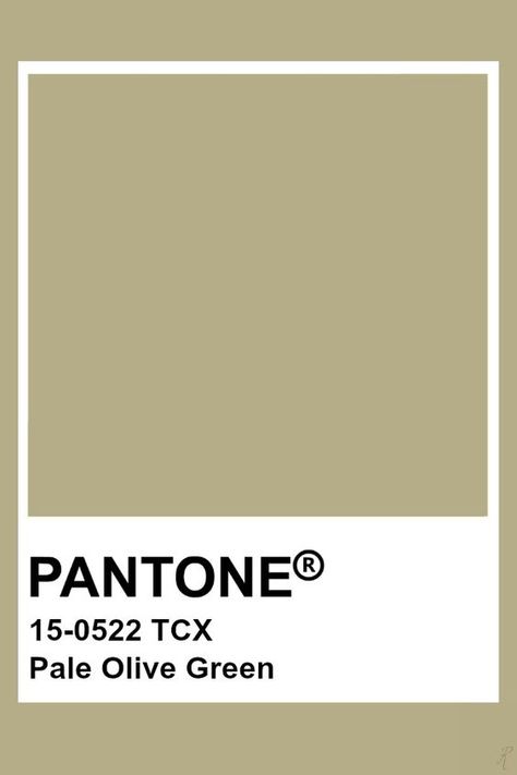 2019-2020 Spring Summer "Shape" Pale Olive Green Sage Green Pantone Colour Palettes, Pantone Earth Tones, Sage Green Pantone, Sage Pantone, Vert Pantone, Pantone Verde, Brown Pantone, Pantone Tcx, Pantone Green