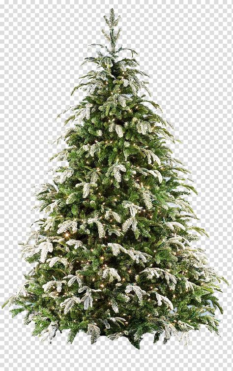 Christmas Tree Transparent Background, Christmas Tree White Background, Christmas White Background, Tree Render, Christmas Tree Aesthetic, Tree Psd, Big Christmas Tree, Glitter Png, Winter Png