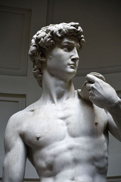 David Miguel Angel, The David Statue, Greek God Sculptures, Michelangelo Sculpture, David Michelangelo, David Tattoo, Greek Men, Academic Drawing, Famous Sculptures