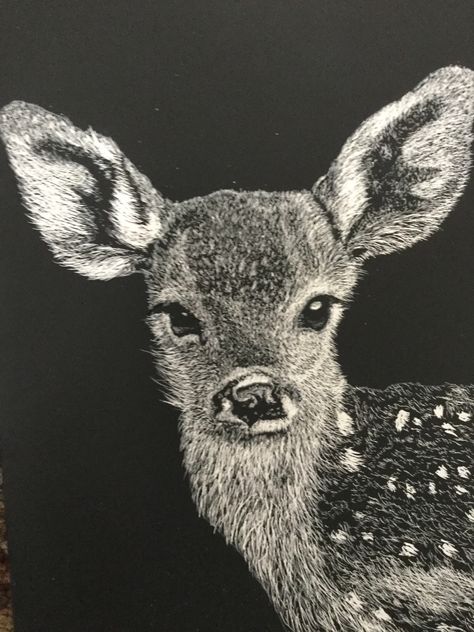 White Chalk Art On Black Paper, Scratch Board Ideas, Scratchboard Art Ideas, Scratch Board Art, Scratch Art Ideas, Scratchboard Animals, Scratchboard Drawing, Scratchboard Drawings, Scratch Paper Art