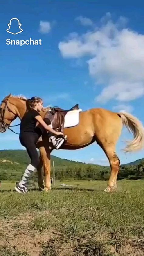 Beautiful Horses Wild, Horse Riding Aesthetic, Foto Cowgirl, Cute Horse Pictures, Horse Things, Funny Horses, Horse Videos, Horse Aesthetic, Most Beautiful Horses