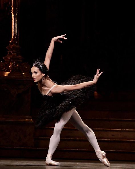 Odile Black Swan, Francesca Hayward, Swan Lake Ballet, The Black Swan, Ballet Pictures, Ballet Beauty, Dance Dreams, Ballet Poses, Ballet Inspiration