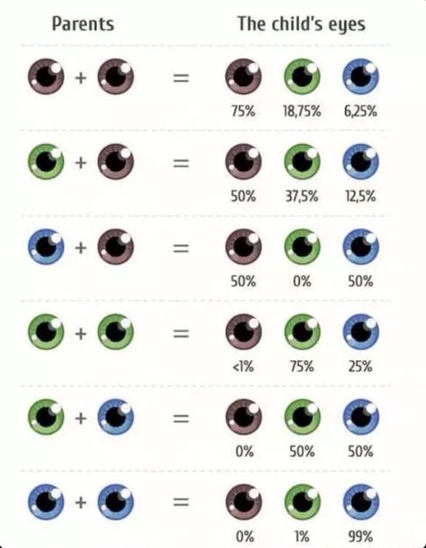 Eye color gene probability chart Eye Color Chart Genetics, Eye Color Chart, The More You Know, Useful Life Hacks, Future Kids, Things To Know, Viral Pins, Writing Tips, Mind Blown