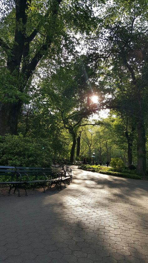 Central Park Bench, Trail Aesthetic, Central Park Aesthetic, Central Park Nyc, Nyc Park, Park Pictures, After Running, Pretty Landscapes, Park Photos