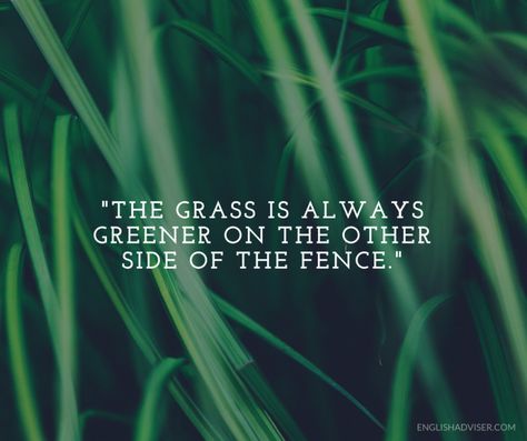 The Grass Is Always Greener On The Other Side, Pakistani Pants, English Proverbs, Ancient Egypt Pyramids, Ali Boxing, Muhammad Ali Boxing, Grass Is Always Greener, Never Satisfied, Egypt Pyramids