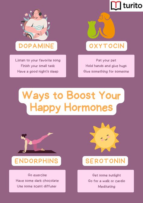 happy hormones include serotonin, dopamine, oxytocin, and endorphins. They are known to promote positive feelings like satisfaction, joy, and even love. Understanding the significance of these happy chemicals in the brain and body and their influence on mental health means you can actively take steps to improve their levels naturally. In other words, happiness hormones result in a happy you! Dopamine Meaning, Happiness Hormones, Mental Health Meaning, Happy Chemicals, Enteric Nervous System, Increase Serotonin, Foods To Try, Tips To Be Happy, Healthy Hormones