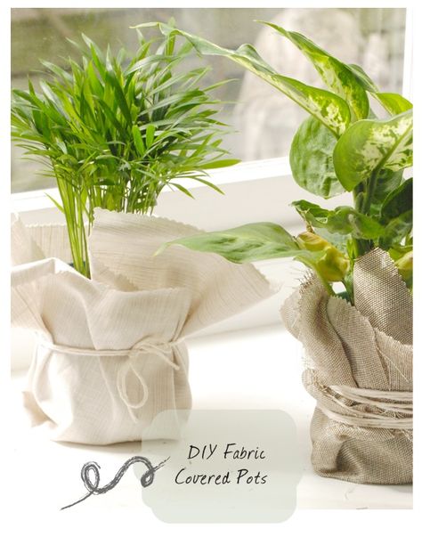 DIY fabric covered potted plants                                                                                                                                                                                 More Pot Diy, Plant Pot Diy, Plant Pot Covers, Plastic Plant Pots, Diy Flower Pots, Plastic Flower Pots, Plant Covers, Plants Decor, Diy Pots