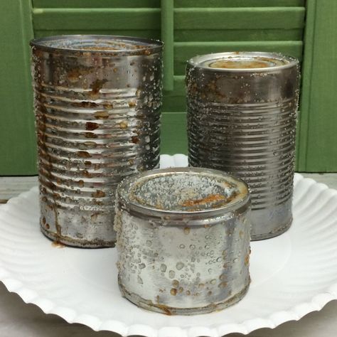 She sprays a tin can with hydrogen peroxide. What she does with salt? This technique is brilliant! Tin Can Planters, Rusting Metal, Can Planters, Faux Rust, Tin Can Art, Aluminum Can Crafts, Rusty Tin, Gold Framed Mirror, Altered Tins