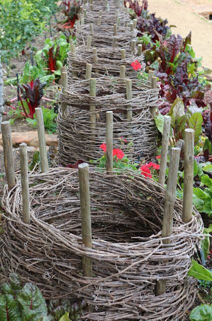 Garden Vines, Potager Garden, Garden Structures, Veggie Garden, Rustic Gardens, Edible Garden, Raised Garden Beds, Raised Garden, Spring Garden