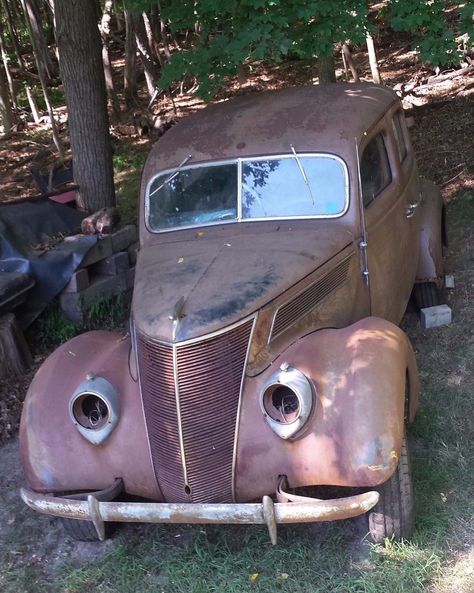 Old Car Pictures, Old Car Restoration, Old Beat Up Car, Project Cars For Sale, Damaged Cars, Best Car Seats, Rusty Old Cars Abandoned, Luxury Car Interior, Rusty Cars