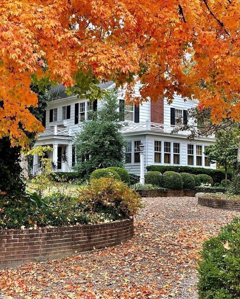 Fall Houses Exterior, Fall House, Signing Off, Mt Vernon, American House, Autumn Scenery, Do Nothing, Dream House Exterior, House Goals