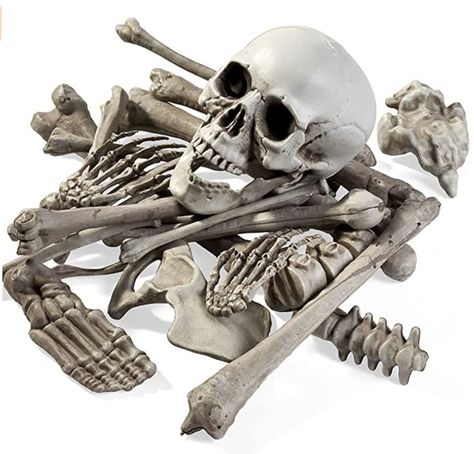 Pile Of Skeletons, Skeleton Photography Bones, Skeleton Juggling Skulls, Miniature Skeleton, Skeleton Parts, Giant Skeleton, Prank Toys, Skeleton Halloween Costume, Plastic Skeleton