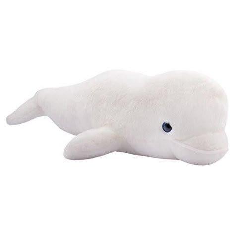 Beluga Whale Funny, Whale Sketch, Whale Video, Whale Facts, Whale Crafts, Whale Drawing, Whale Illustration, Whale Painting, Whale Plush