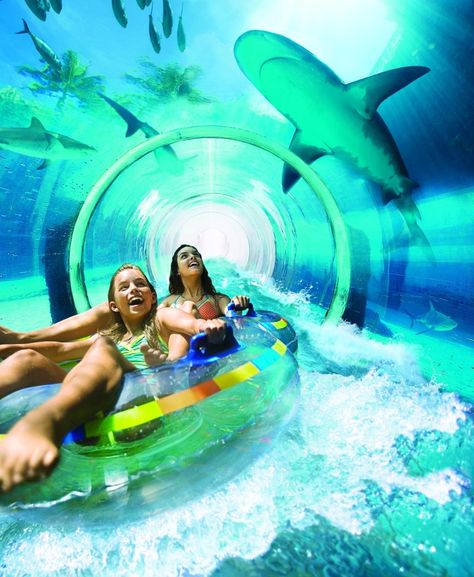 Aquaventure Water Park at Atlantis Paradise Island (Nassau, Bahamas): Address, Phone Number, Tickets & Tours, Attraction Reviews - TripAdvisor Cool Water Slides, Las Vegas With Kids, Bahamas Resorts, Best Family Beaches, Atlantis Bahamas, Palm Jumeirah, Parc D'attraction, Water Slide, Paradise Island