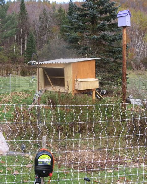 My 4x7 Weasel Proof, Moveable Coop For About $300 Weasel Proof Chicken Coop, Farms Living, Chicken Coop, Coop, Shed, Outdoor Structures, Outdoor Decor