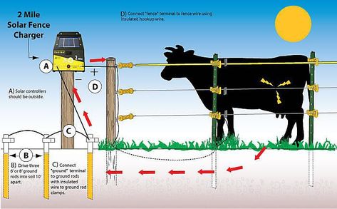 Solar Electric Fence, Livestock Fence, Electric Fence Energizer, Grounding Rod, Horse Fencing, Farm Fence, Solar Electric, Wire Fence, Electric Fence