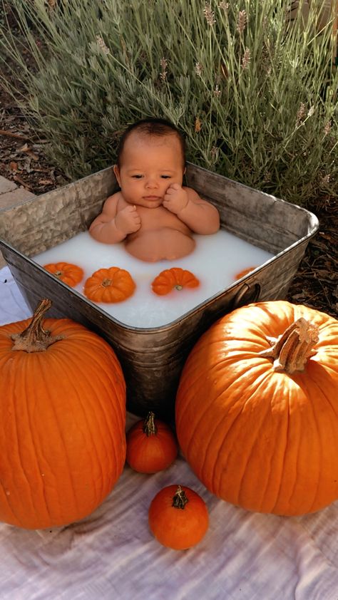 Fall Milk Bath Baby, Fall Milk Bath, Halloween Baby Pictures, Halloween Baby Photos, Fall Baby Photos, Baby Milk Bath, Milk Bath Photos, Fall Baby Pictures, Milk Bath Maternity