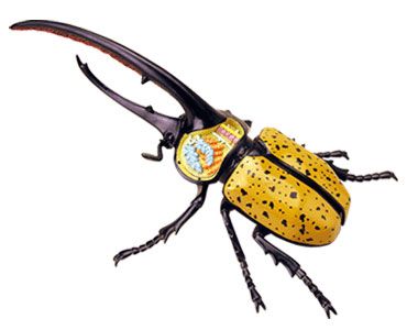 beetle with horns Horn Beetle, Beetle Painting, Horned Beetle, Bug Collection, Animal Reference, Flash Tattoos, A Bug's Life, Monster Mash, Painting Inspo